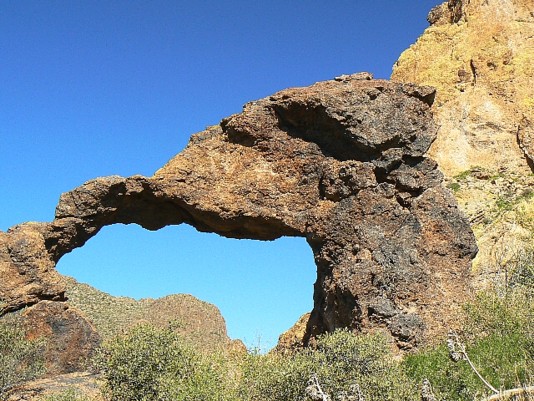 Laconic Dodo Arch