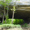 Creelsboro Natural Bridge