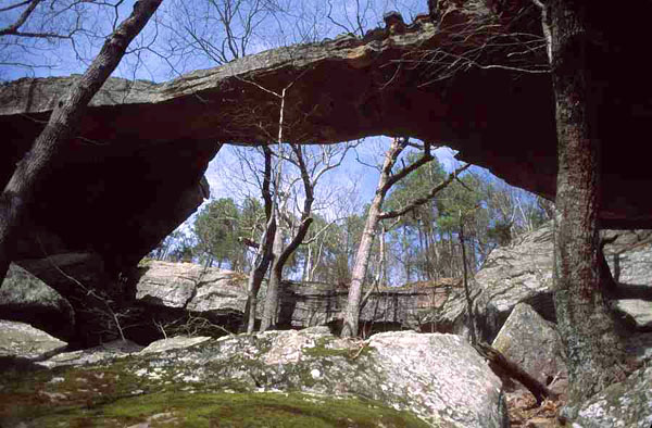 Buzzards Roost Arch