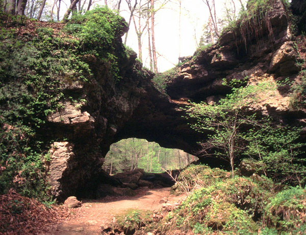 Maquoketa Caves Natural Bridge