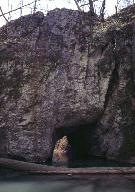 Arch Springs Natural Bridge