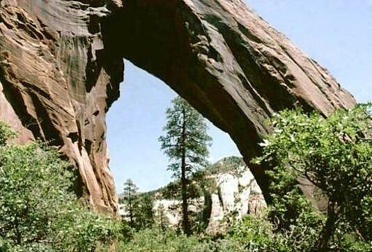 Bayles Ranch Arch
