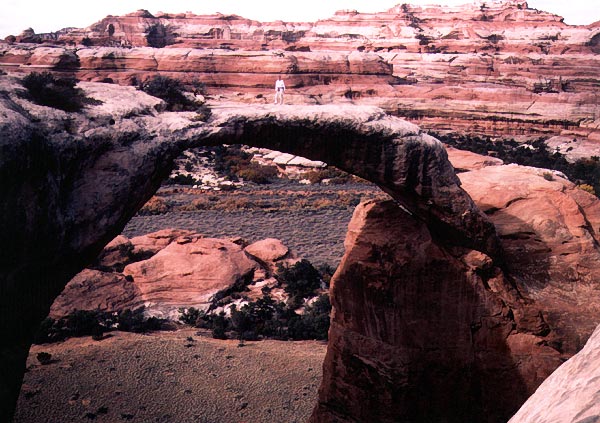 Ring Arch